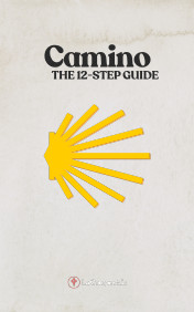 12-step guide